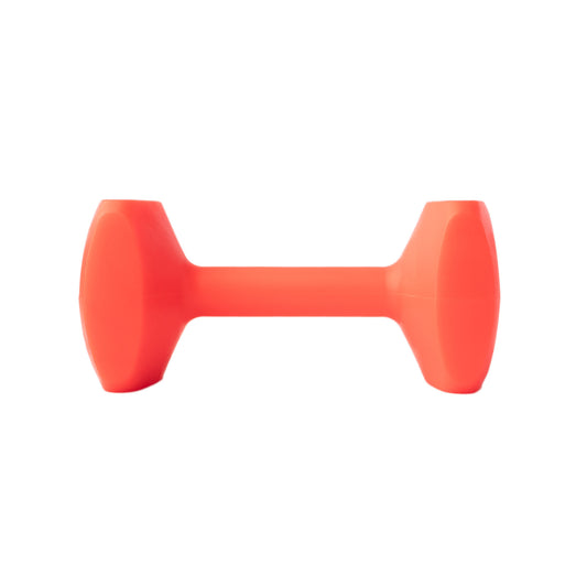 Training Dumbbell