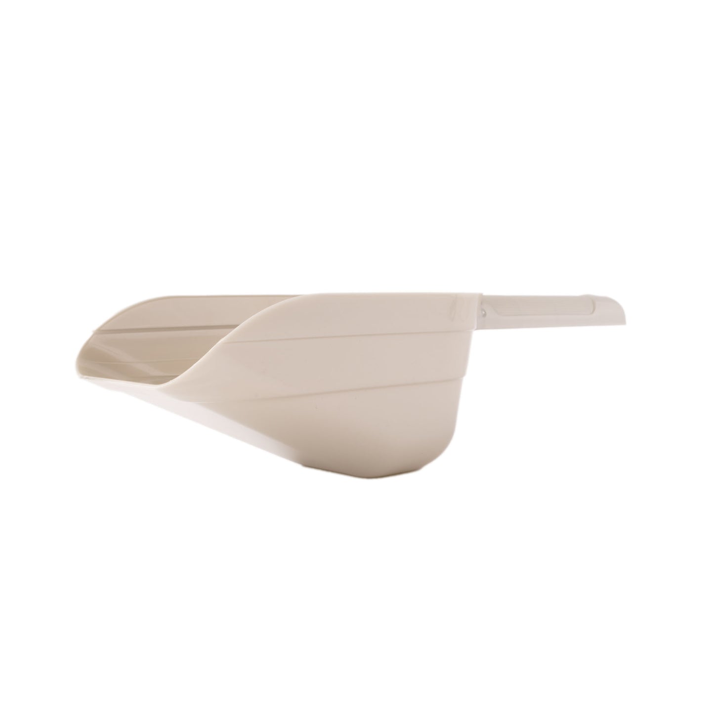 Food Scoop