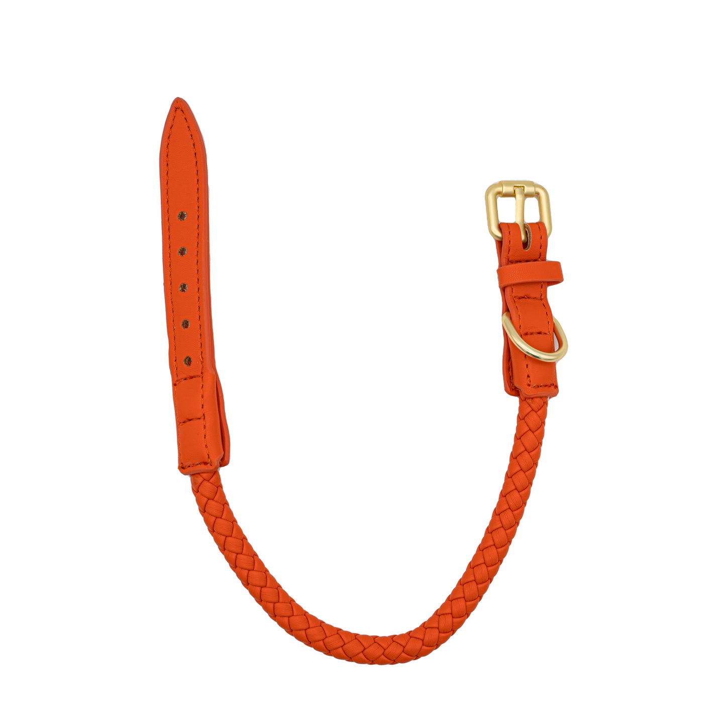 Luxury Braided Leash Set