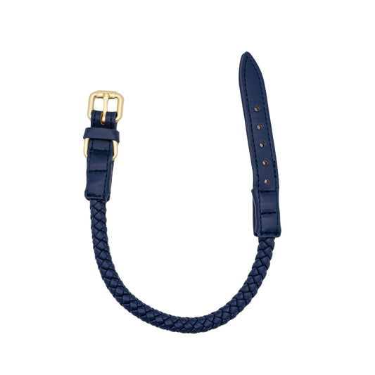 Luxury Braided Leash Set