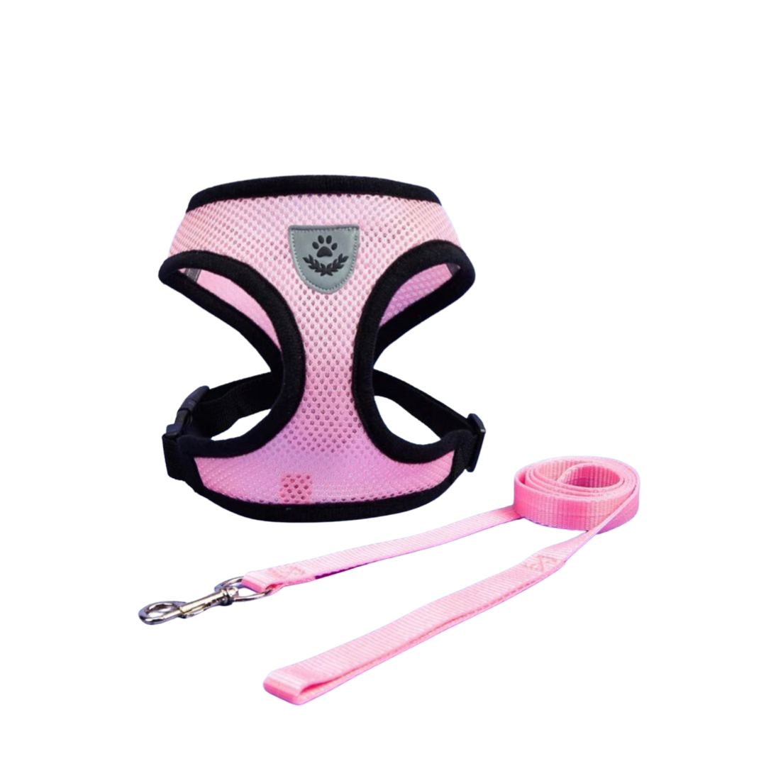 Mesh Harness & Leash Set