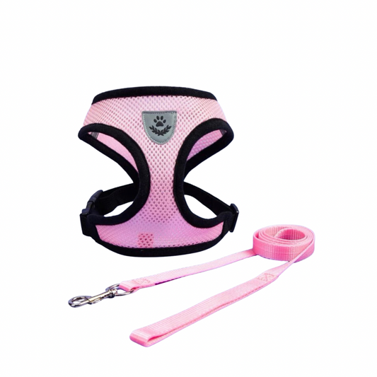 Mesh Harness & Leash Set