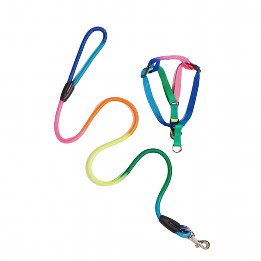 Multicoloured Harness & Leash Set