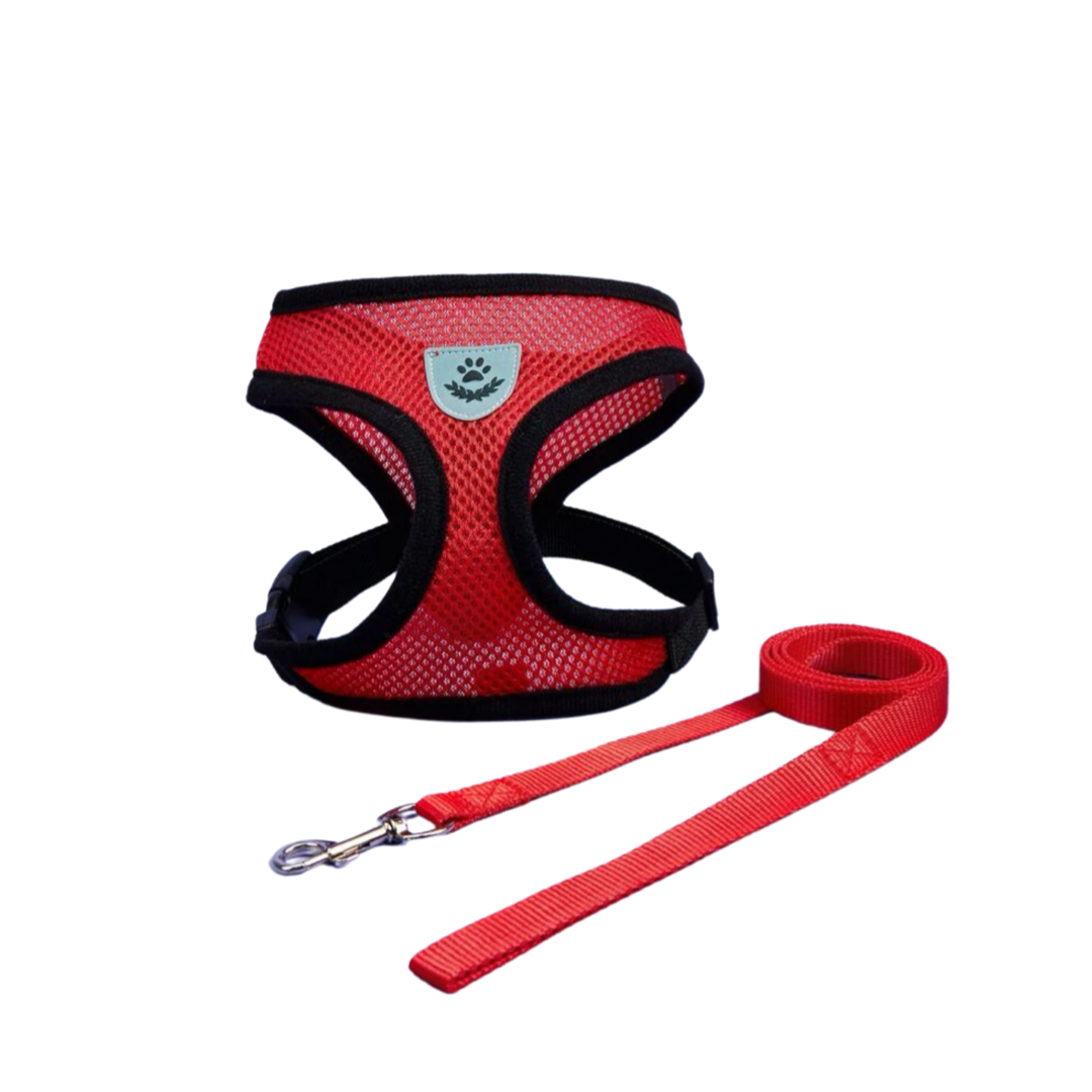 Mesh Harness & Leash Set