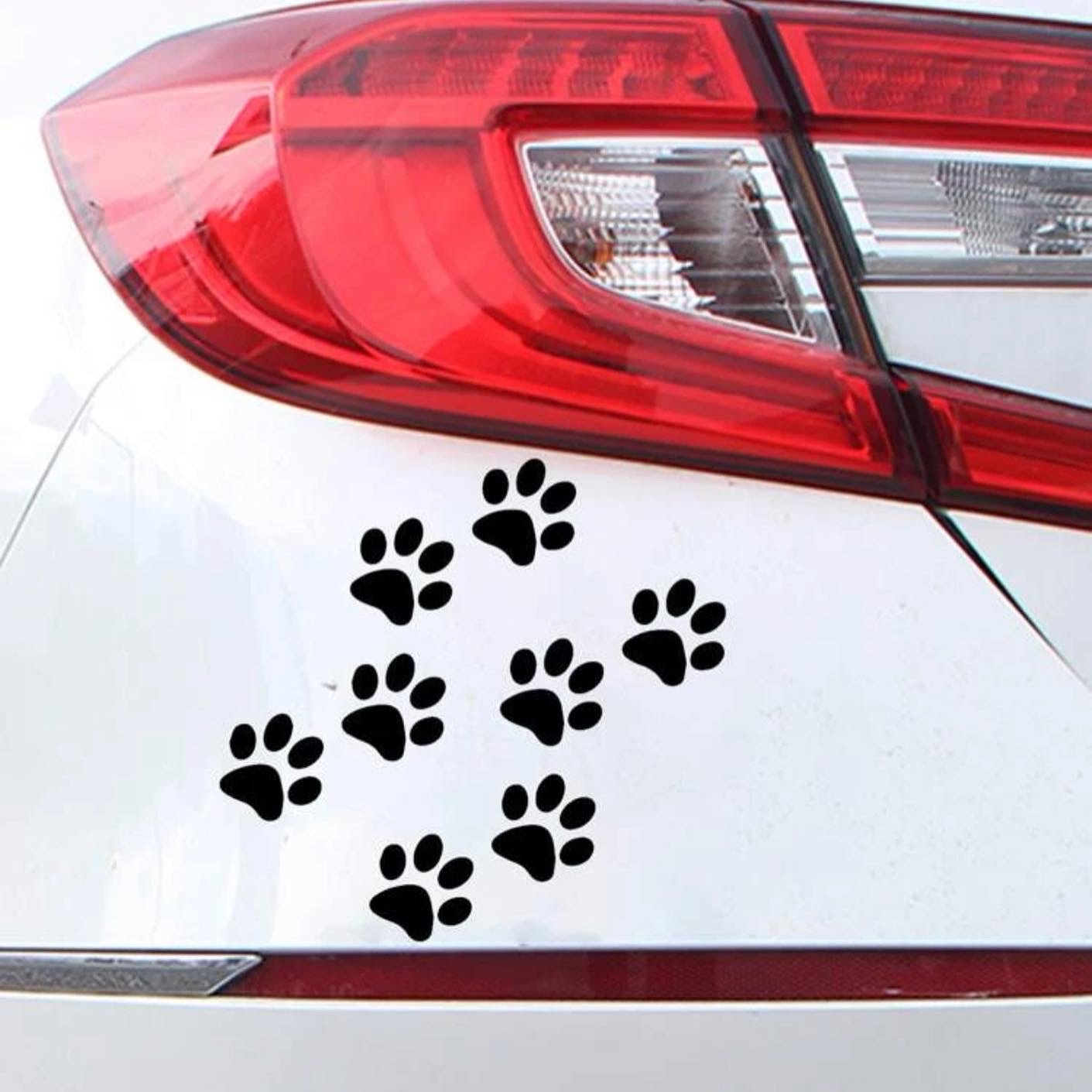 Pet Car Sticker