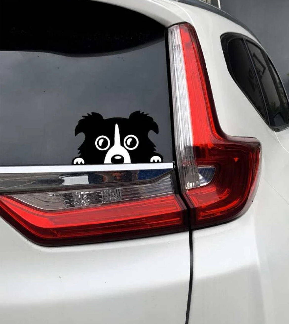 Pet Car Sticker